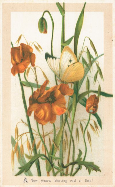 Coquelicots et papillon, Carte de Nouvel An - English School
