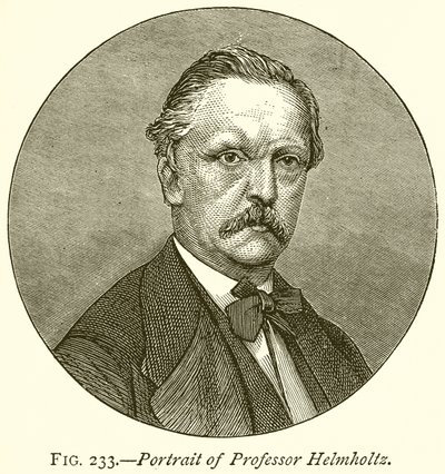 Portrait du professeur Helmholtz - English School