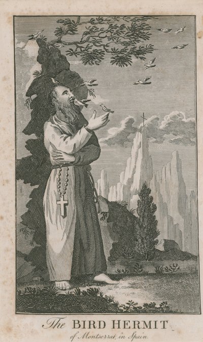 Portrait de l
