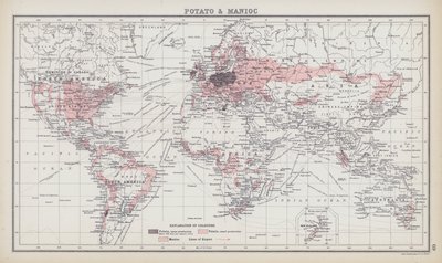 Pomme de terre et manioc - English School