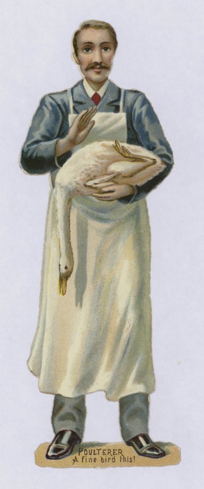 Volaille, Un Bel Oiseau - English School