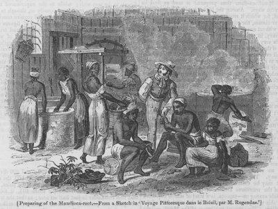 Préparation de la racine de manioc - English School
