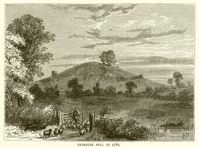 Primrose Hill en 1780 - English School