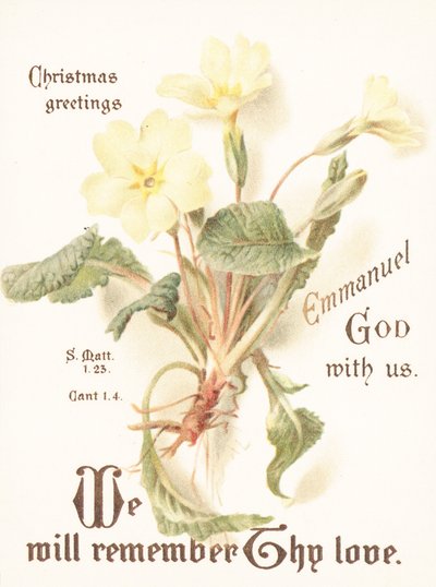 Primevères, Carte de Noël - English School