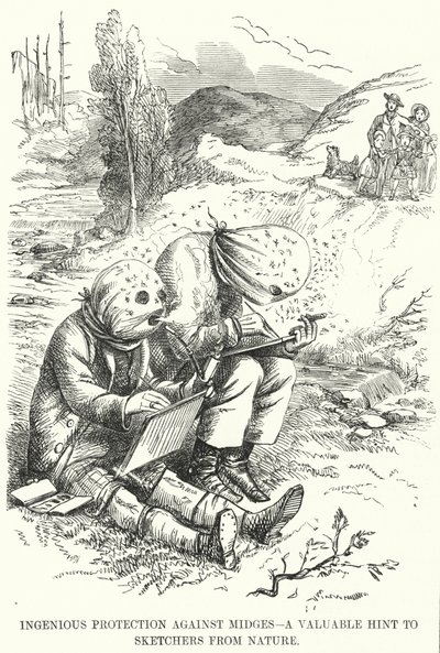 Protection Ingénieuse contre les Moucherons - un Conseil Précieux pour les Dessinateurs de Nature - English School