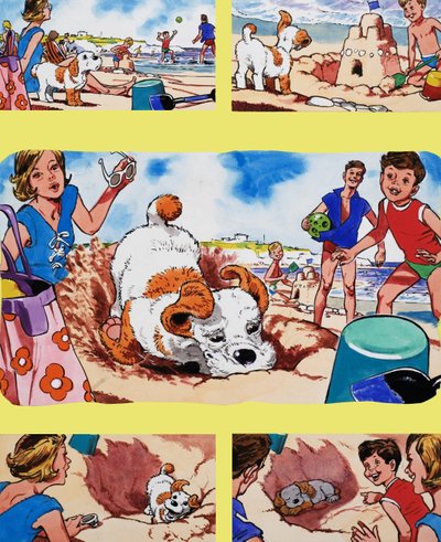 Chiot sur la plage - English School