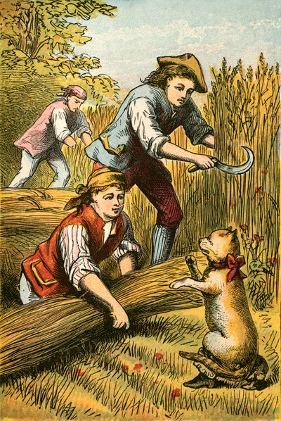 Le chat menace les moissonneurs - English School