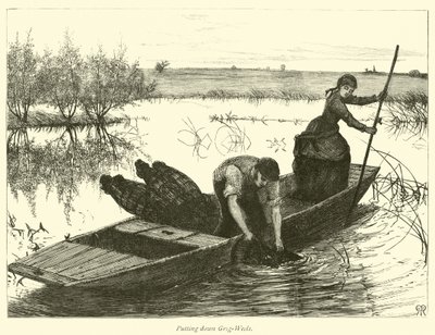 Pose de pièges à anguilles - English School