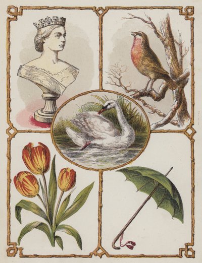 Reine, Rouge-gorge, Cygne, Tulipe, Parapluie - English School