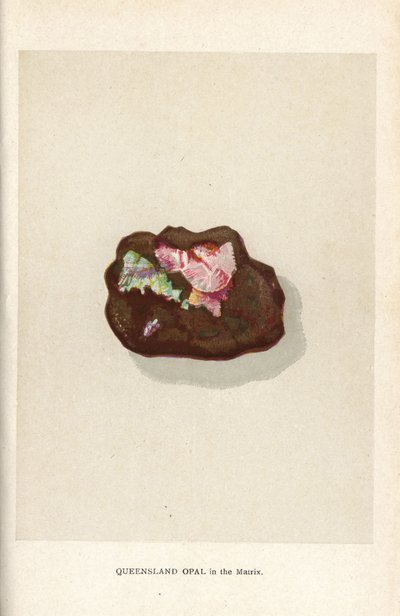Opale du Queensland dans la matrice, de "Precious Stones and Gems" d