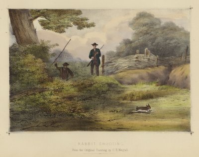 Chasse au lapin - English School