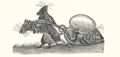 Rats rapportant un œuf à la maison (gravure) - English School