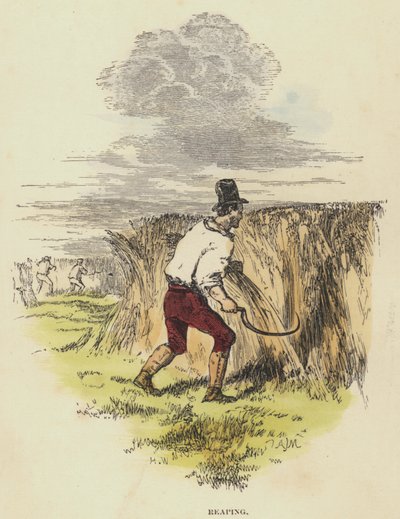 Moisson - English School