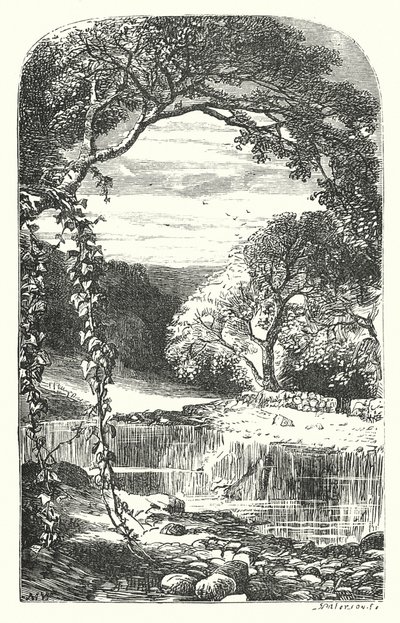 Retour du printemps - English School