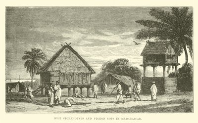 Granges à riz et pigeonniers à Madagascar - English School