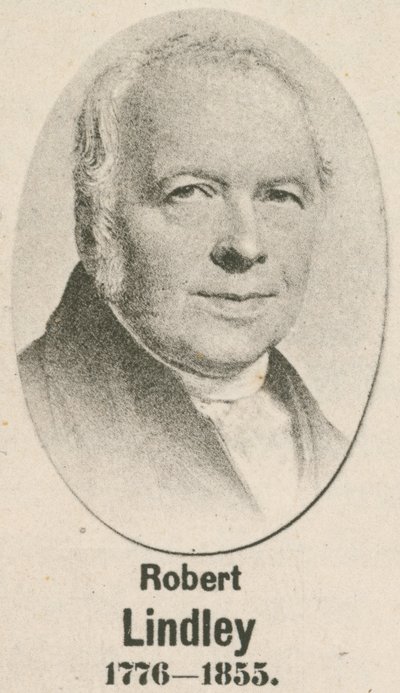 Robert Lindley - English School
