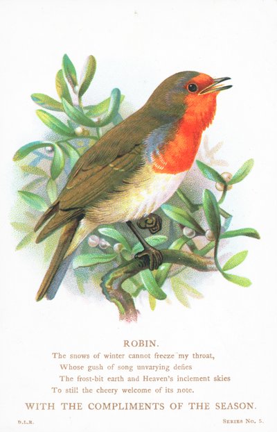 Rouge-gorge chantant sur une branche, carte de Noël - English School