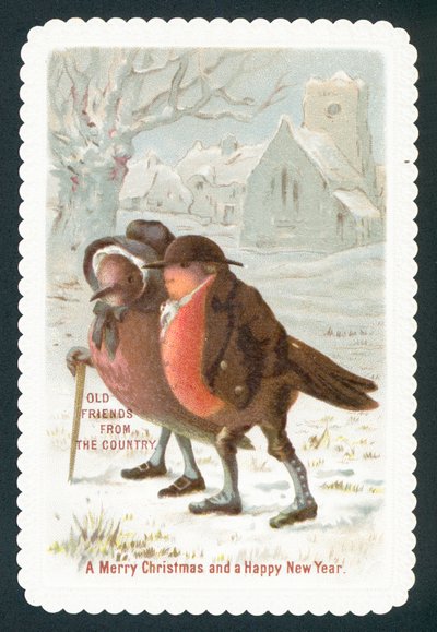 Rouges-gorges portant des vêtements - English School