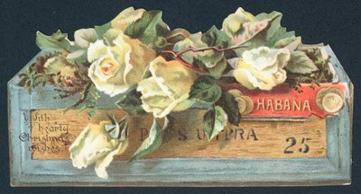 Roses dans une boîte à cigares, Carte de Noël - English School