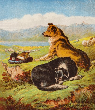 Rover et Hector - English School