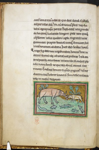 Un grand et un petit éléphant dans un ruisseau plein de poissons - English School