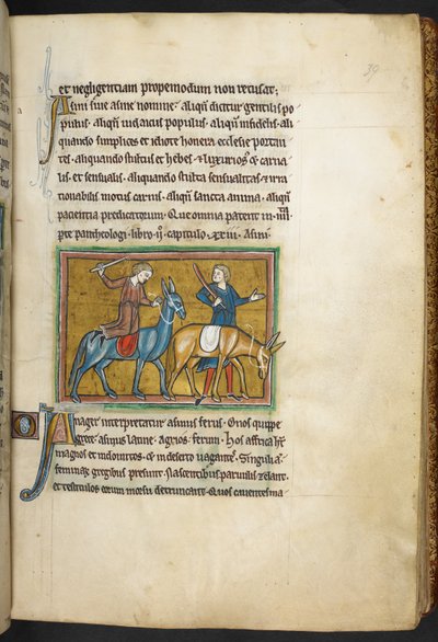 Deux hommes avec deux ânes, de Bestiaire (ff. 3-141), Lapidaire (ff. 141v-149), 2e quart du 13e siècle (vélin) - English School