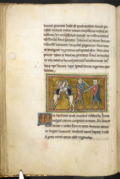 Deux chevaliers combattant à pied avec des épées, tandis que leurs chevaux se battent sur leurs pattes arrière, de Bestiaire (ff. 3-141), Lapidaire (ff. 141v-149), 2e quart du 13e siècle (vélin) - English School