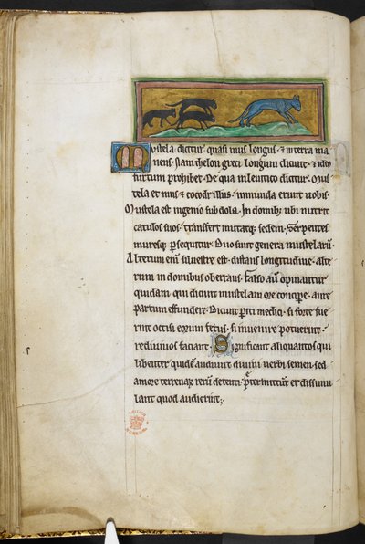 Des souris chassant un chat, de Bestiaire (ff. 3-141), Lapidaire (ff. 141v-149), 2e quart du 13e siècle (vélin) - English School