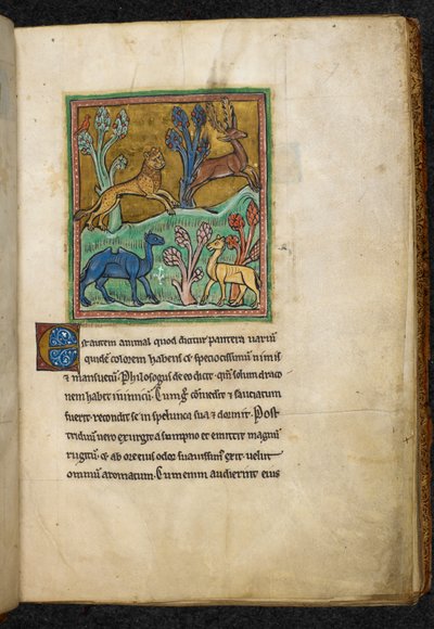 Léopard chassant un cerf, avec un chameau et un autre animal - English School