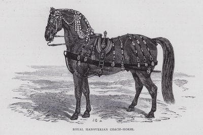 Cheval de carrosse royal hanovrien (gravure) - English School