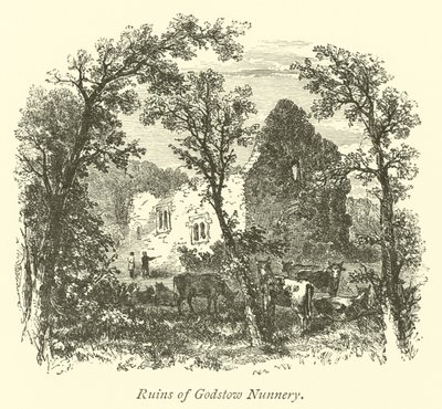 Ruines du couvent de Godstow - English School