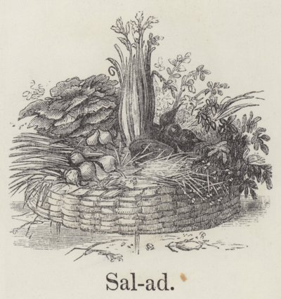 Salade - English School