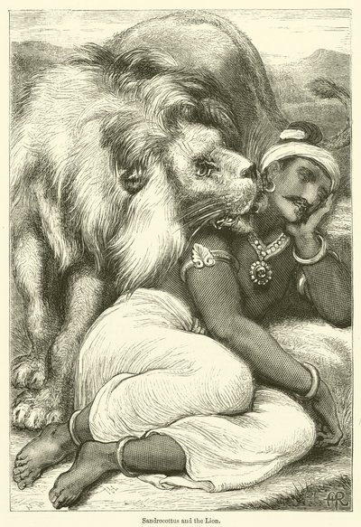 Sandrocottus et le lion - English School