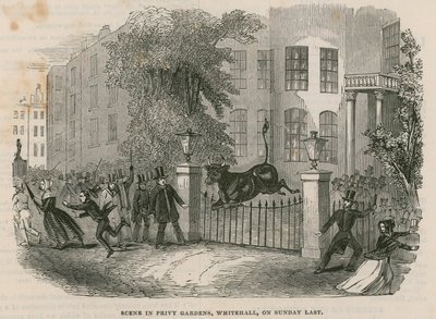 Scène dans les jardins privés - English School