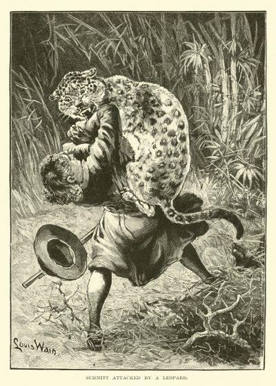Schmitt attaqué par un léopard - English School