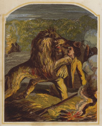 Le missionnaire écossais David Livingstone attaqué par un lion en Afrique (chromolithographie) - English School