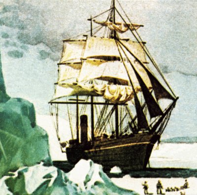 Terra Nova de Scott - English School