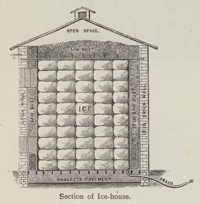 Section de glacière - English School
