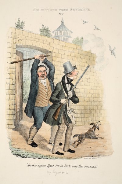 Sélections de Seymour : No. 7, 