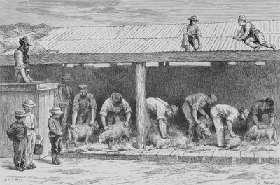 Tonte des moutons, c.1880, de 