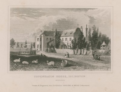 Moutons broutant devant la maison de Copenhague - English School