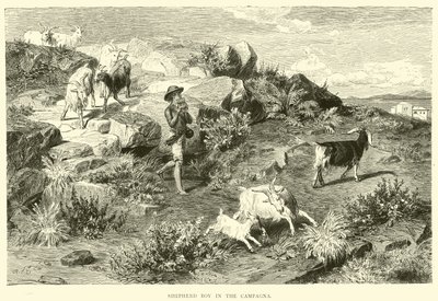 Jeune berger dans la Campagne - English School