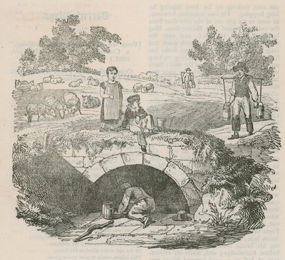 Shepherds Well, Hampstead - English School