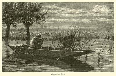 Chasse à la loutre - English School