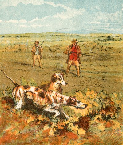 Chasse avec des pointeurs - English School