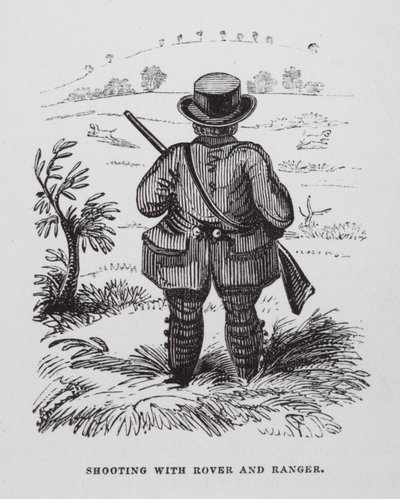 Tir avec Rover et Ranger - English School