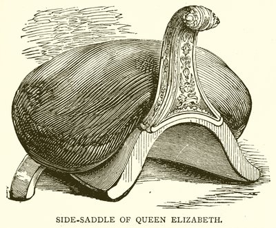 Selle de Reine Élisabeth - English School