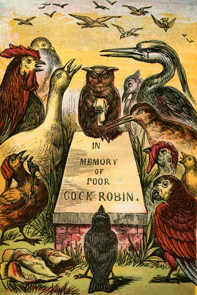 Soupirant et sanglotant pour le pauvre Cock Robin - English School