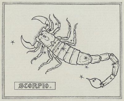 Signes du zodiaque : Scorpion (gravure) - English School