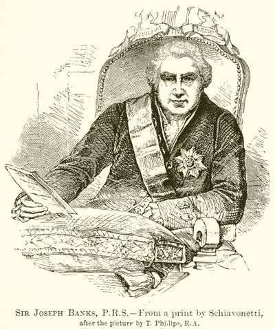 Sir Joseph Banks, P.R.S - English School